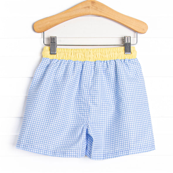 Gulf Gingham Swim Trunks, Blue