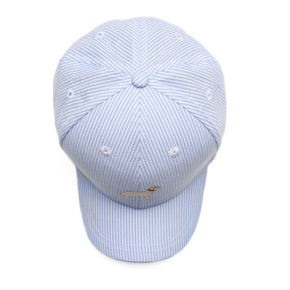 Doorbuster: Dog Embroidered Hat, Blue Seersucker